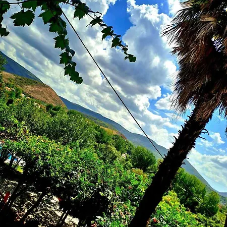 Toro Apartament Kosor